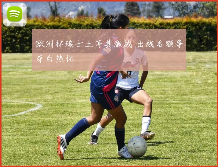 欧洲杯瑞士土耳其激战 出线名额争夺白热化