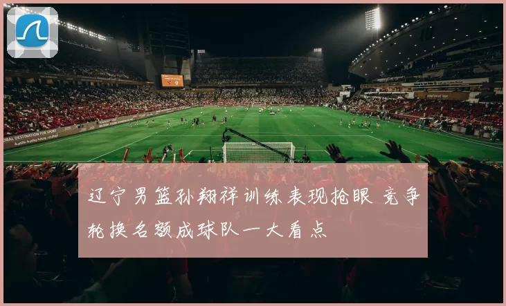 辽宁男篮孙翔祥训练表现抢眼 竞争轮换名额成球队一大看点