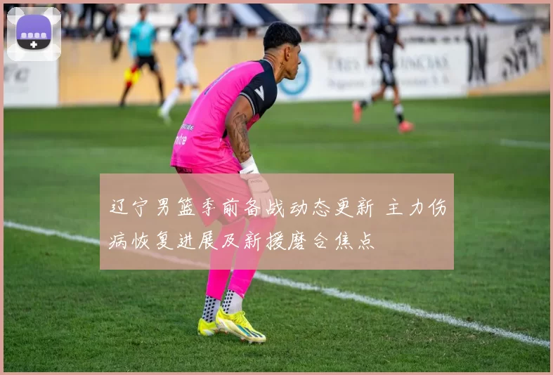 辽宁男篮季前备战动态更新 主力伤病恢复进展及新援磨合焦点