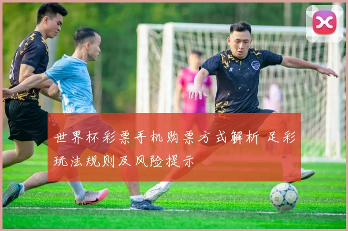 世界杯彩票手机购票方式解析 足彩玩法规则及风险提示