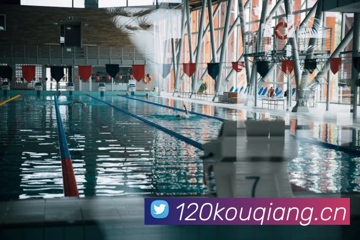 App Interface Preview